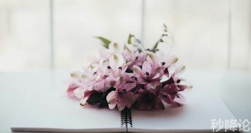 秒降论降AIGC,免费查重系统,智能改重